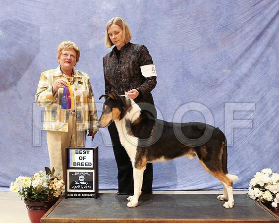 CollieS-4450-HR