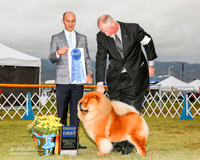 Chow Chow #5 Sun G1 Fan Matthew and Kiki Pratna and Layla Loveless Judge Gerardo Bernard