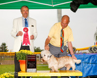 Dandie Dinmont #5 Sun G2 Myers Gary and Karen Dorn