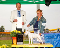 Parson Russell Terrier #6 Sun G4 Paulson Liane Shane PAulson