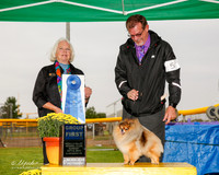 Pomeranian #5 Sun G1 Bird Bonnie A Udomisin Littchun Agent Curtiss G Smith