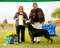 Rottweiler #15 Sun G3 Aubyn Stelmach Bestsy McLelland and Ann K Callahan Agent Sarah Wintrone Luther