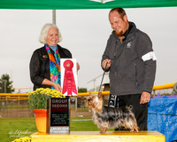 Silky Terrier #6 Sun G2 Bunnell Janice Chaffin Bell and Vicki Bratton