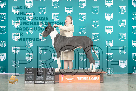 Great Dane #125 FriSatSun COCBOB no judge_MJ_3569_ColumbiaMo2023_HR3