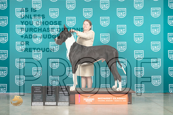 Great Dane #125 FriSatSun COCBOB no judge_MJ_3571_ColumbiaMo2023_HR3