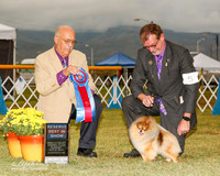 Pomeranian #5 Sun RBIS Bird Bonnie A Udomisin Littichkun Agent Curtiss G Smith Judge Kenneth Clemons