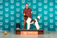 Poodle Std #230 Sun BOVCH Judge Mary Ellen Meyer