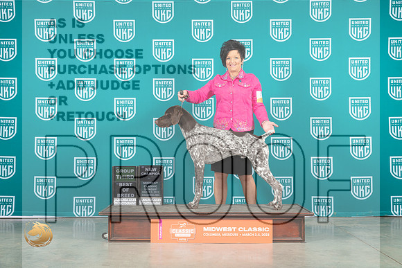German Shorthaired Pointer #223 BOBCh Lew Olson G3 Mary Ellen Meyer_MJ_3638_ColumbiaMo2023_HR3