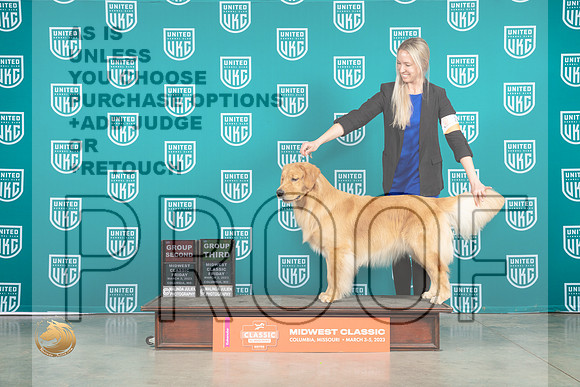 Golden Retriever #266 Fri G2 Heger G3 Judge Pelland_MJ_3658_ColumbiaMo2023_HR3