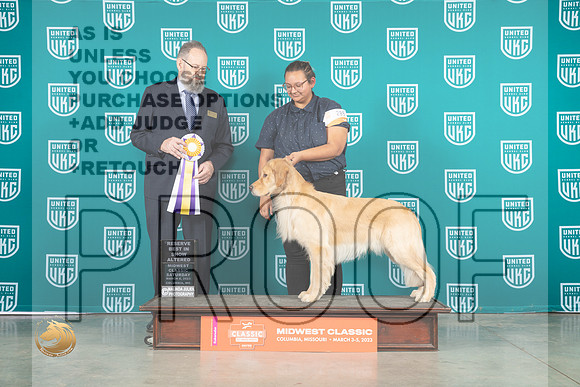 Golden Retriever #289 Sun ARBIS Judge Roland Pelland_MJ_3877_ColumbiaMo2023_HR3