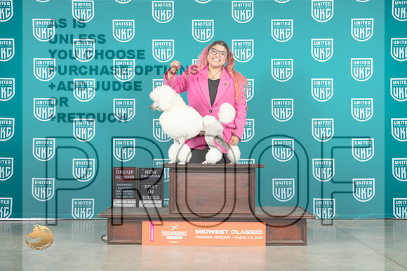 Poodle Miniature #325 Sat BOBG2 Judge Katherine Short_MJ_3685_ColumbiaMo2023_HR3