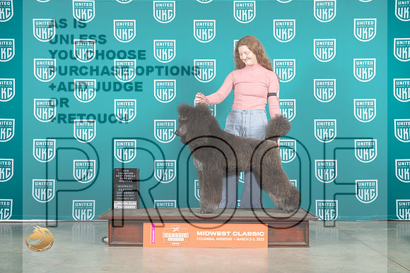 Poodle Std #246 Sat BOWCH Judge Katherine Short_MJ_3692_ColumbiaMo2023_HR3