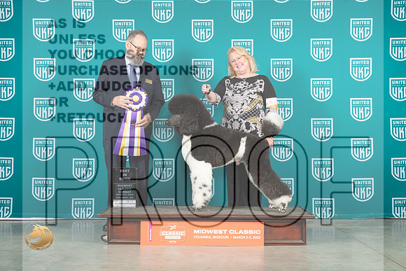 Poodle Std MC #173 Sun BIS Judge Roland Pelland_MJ_3815_ColumbiaMo2023_HR3