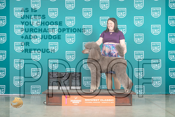 Poodle Std MC #247 Fri ALTBIS Judge Larry Hensen Sat BVet in show  Judge Sarah Schroder_MJ_3787_ColumbiaMo2023_HR3
