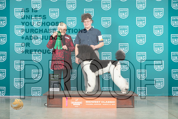 Poodle Std MC #290 Sun BOBG3 Judge Lew Olson_MJ_3730_ColumbiaMo2023_HR3