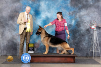 German Shepherd Dog #5 Fri G3 Judge Jon Cole