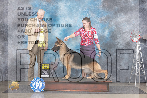 Germa Shepherd Dog #5 Fri G3 Judge Jon Cole__JP_5457_Amarillo_2024_HR3
