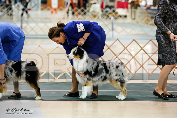 _JJ_7172-ASCACollegeStationNov2014-HR3