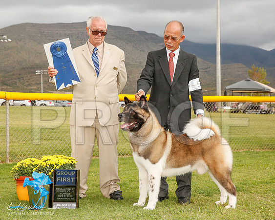 _R2_1934-2-AlmagdoOctt2015-HR3