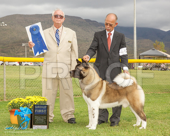 _R2_1935-AlmagdoOctt2015-HR3