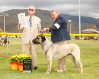 Anatolian Shepherd Dog #5 Mon G4 Dotson Janet Agent Ric Plaut Judge Thomson Standield
