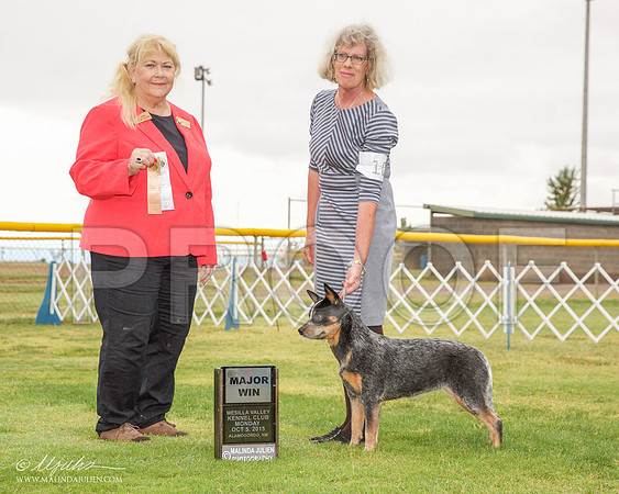 _R2_1808-AlmagdoOctt2015-HR3