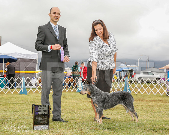 _R2_1834-2-AlmagdoOctt2015-HR3