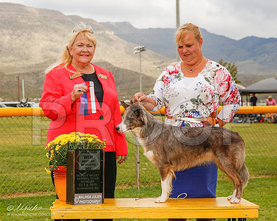 _R2_1891-2-AlmagdoOctt2015-HR3