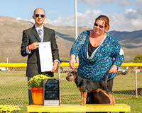 Border Terrier #7 Mon G4 Muller Cindy and Kimberly Yonk Judge Gerardo Bernard