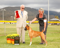 Boxer #5 Mon G2 Nunn Bette Jo Judge Thomson Standield