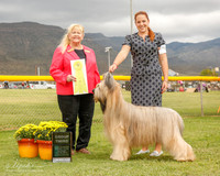Briard #5 Mon G3 Klang Gina and KayCee Judge Carol White Moser