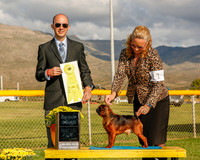 Brussels Griffon #11 Mon G3 Pat Brown Judge Gerardo Bernard