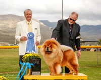 Chow Chow #5 Mon G1 Fan Matthew and Kiki Pratna and Layla Loveless Judge Davis Alexander