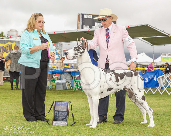 _R2_1828-AlmagdoOctt2015-HR3