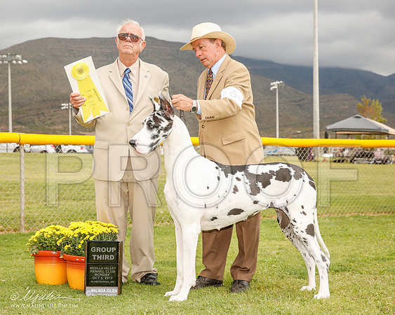 _R2_1937-2-AlmagdoOctt2015-HR3