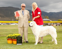 Kuvaszok #7 Mon G1 OH G1 Rawers Karen Boxer #5 Mon G2 Nunn Bette Jo Judge Thomson Standield