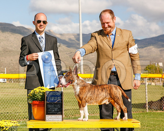 _R2_2001-2-AlmagdoOctt2015-HR3
