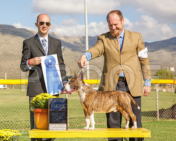 _R2_2001-AlmagdoOctt2015-HR3