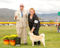 Norwegian Bunund #6 Mon OH G4 Walsh Carol A and Vali Eberhardt Judge Thomson Stanfield