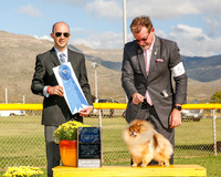 Pomeranian #5 Mon G1 Bird Bonnie a Udomisin Littichkun Agent Curtiss G Smith Judge Gerardo Bernard
