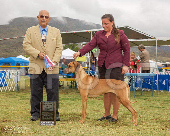 _R2_1842-AlmagdoOctt2015-HR3