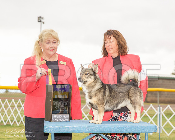 _R2_1813-AlmagdoOctt2015-HR3