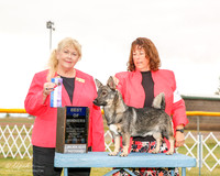 Swedish Vallhund #9 Mon BOW Fromm Michelle Judge Carol White Moser