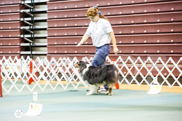 _JJ_4351-BsrCtyJun2014-HR3