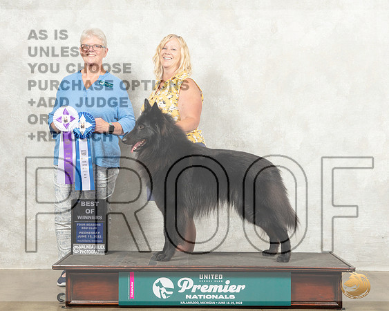 Belgian Shepherd Dog #21 Wed BOW Judge Alleyene Dickens_MMJ_6863_Premier_2022_HR3