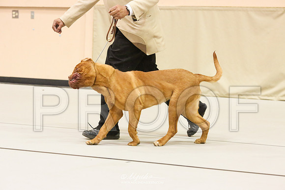 DDB-8378-HR