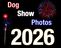 2026 Dog Shows