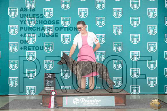 Dutch Shepherd #801 Sat TD_JP_2596e_UKC Premier 2024