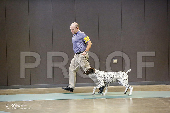 _RH_8931-BeltonJan2015-HR3