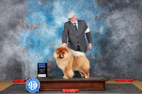 Chow #5 Sun G1 Judge Anne Catterson